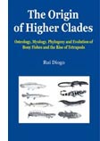 The Origin of Higher Clades